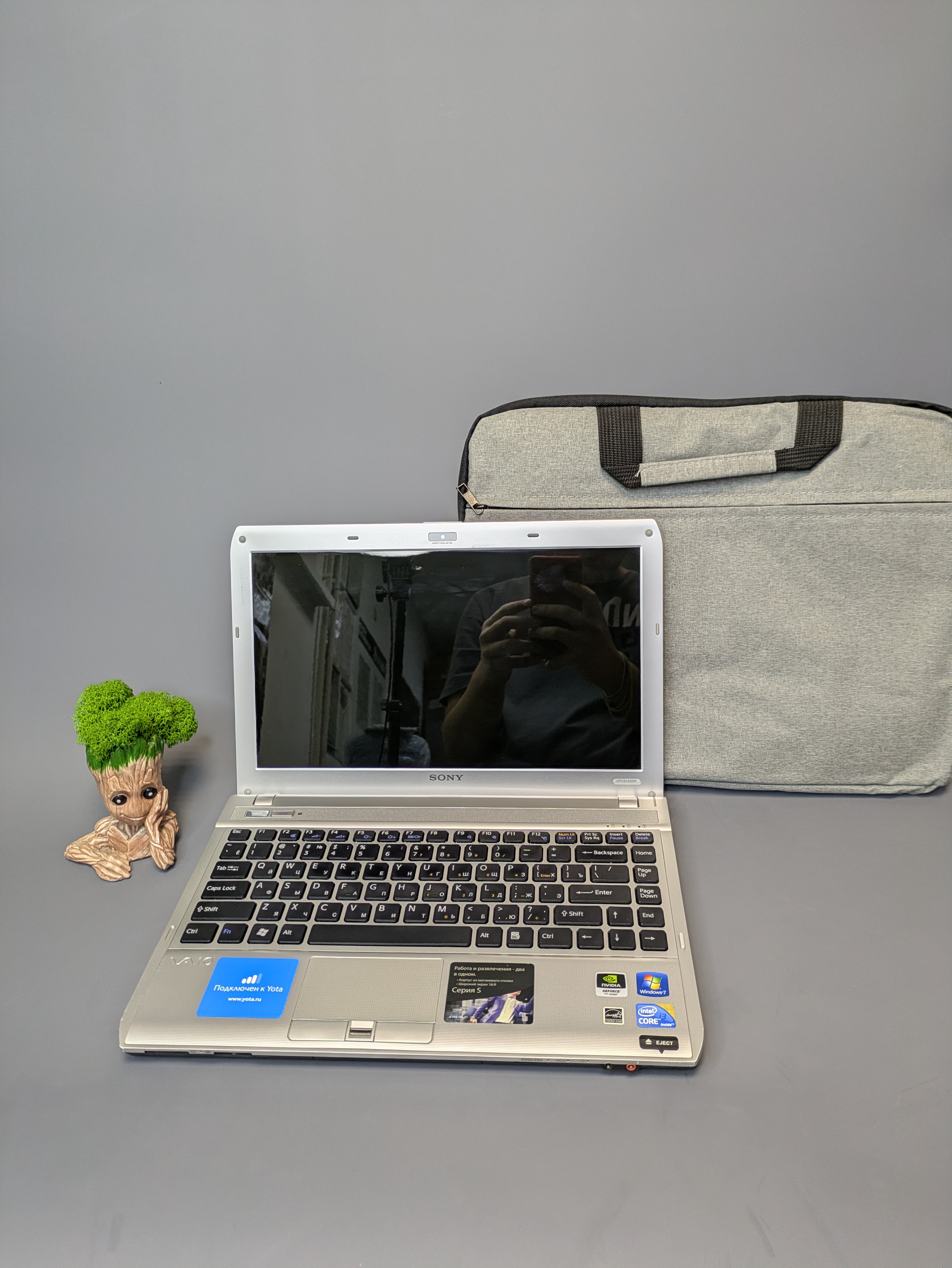 Ноутбук SONY VAIO VPCS13S9R
